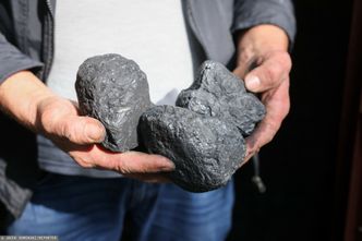 Wypełnione luki w dodatku węglowym. Zmiany dla wnioskujących