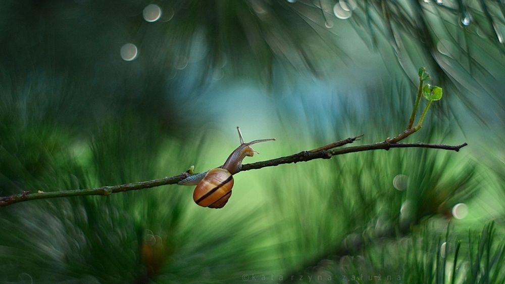 Katarzyna Załużna mówi o fotografii: "Kwintesencją jest, aby umieścić w nich swoje serce” 1