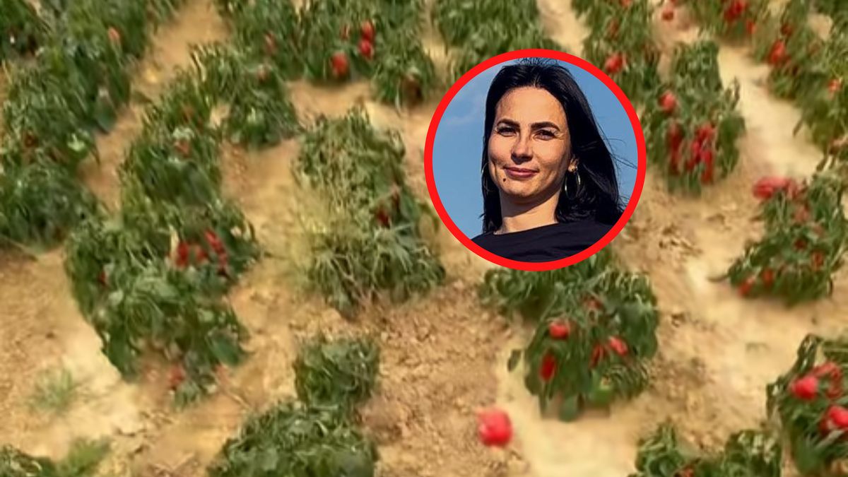 Rolniczka mówi o dramatycznym sezonie.