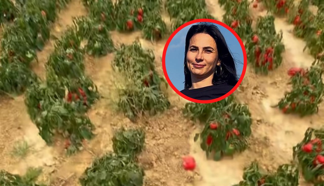 "Reszta przepadnie". Ma aż 180 ton. Nie pomoże nawet samozbiór