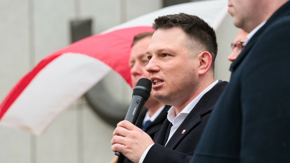 Sławomir Mentzen w trakcie pikiety przed Sejmem