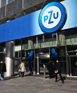 Atak hakerski na PZU. Przyznała się grupa No Name