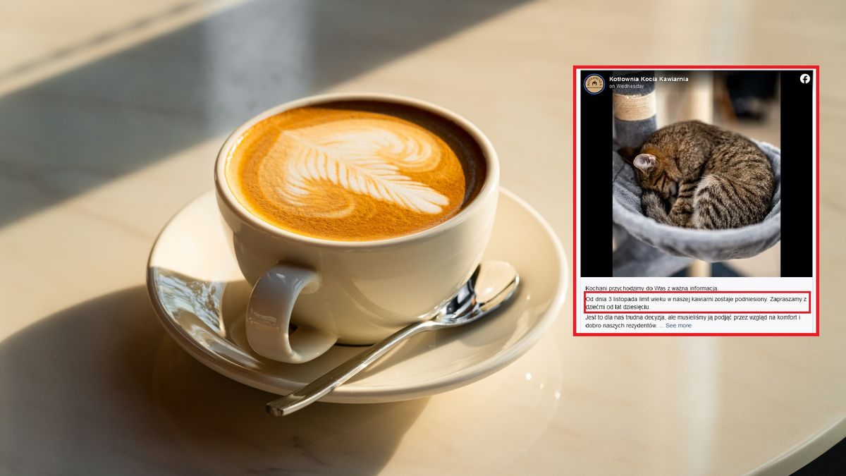 Kawiarnia nie wpuści dzieci. Chodzi o zachowanie wobec kotów