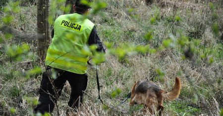 Poszedł na grzyby. Makabryczne odkrycie w lesie w Bukowcu