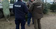 Policja kontroluje punkty sprzedaży choinek. Sprawdzą źródło i faktury