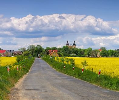 Legnickie Pole pełne skarbów. Na terenie gminy znaleziono monety sprzed prawie 2 tys. lat