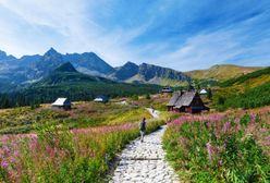 Tatry. Zamknięcie szlaków od 1 marca. Nie każdy zna ten przepis