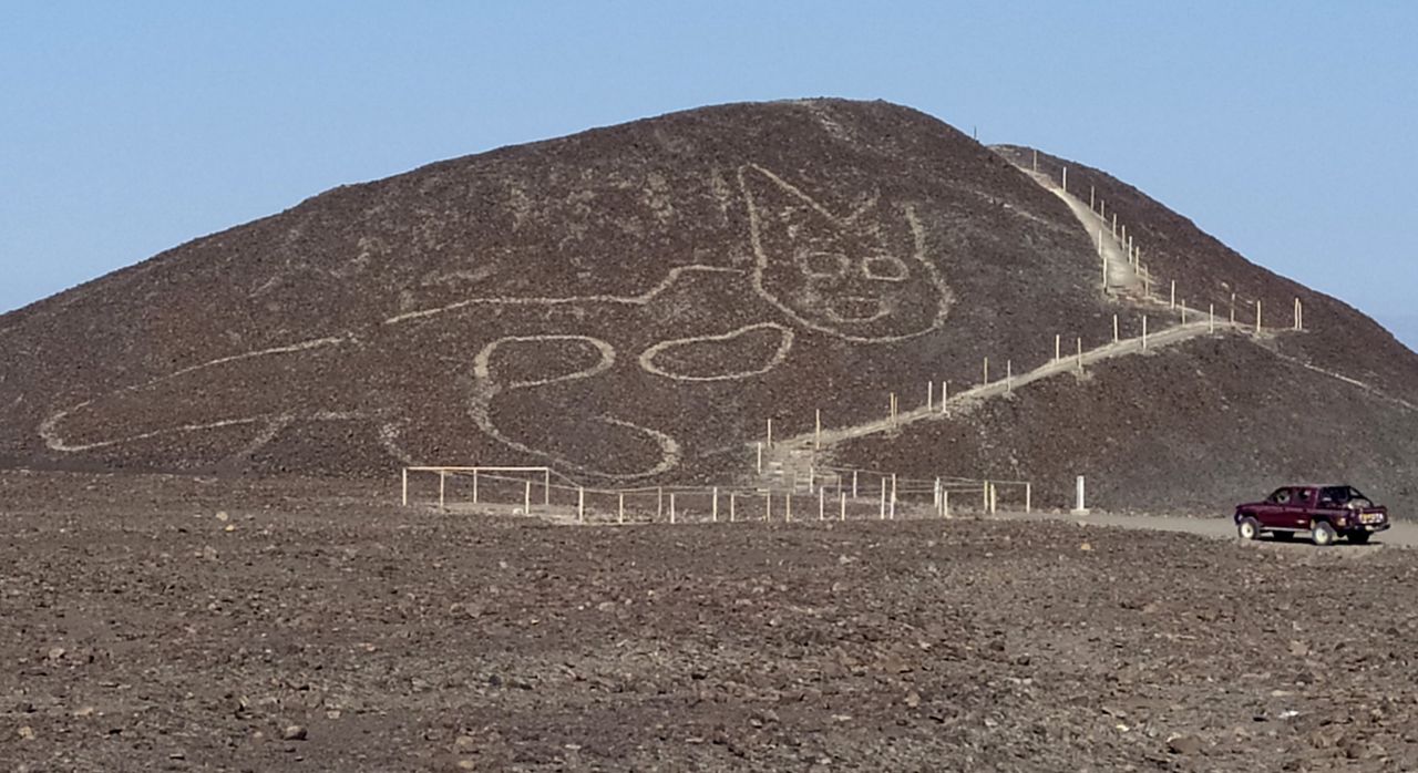 Kot sprzed 2 tysięcy lat odkryty w Peru