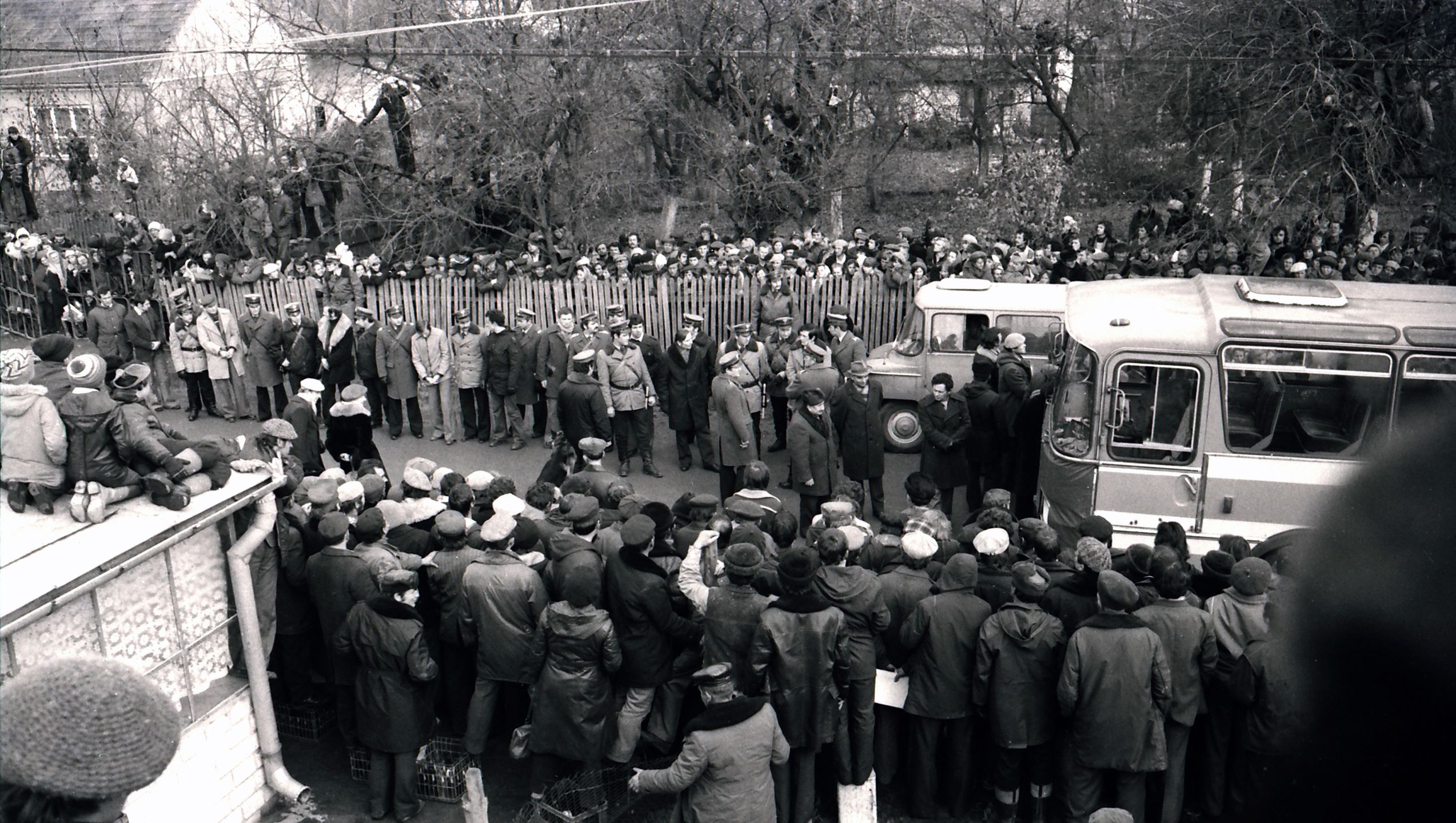 Wizja lokalna 11.1978