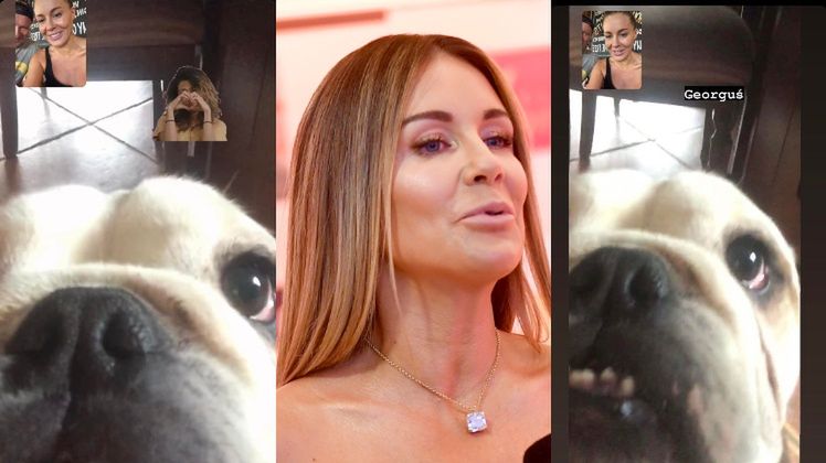 Małgorzata Rozenek usycha z tęsknoty za czwórką psów