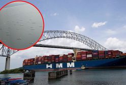 Utknęły. Nagranie z Kanału Panamskiego krąży w sieci