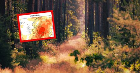 Upały nie odpuszczą. Jesień może być cieplejsza niż zwykle