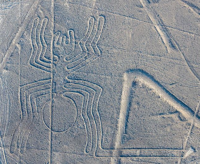 Jeden z geoglifów z Nazca