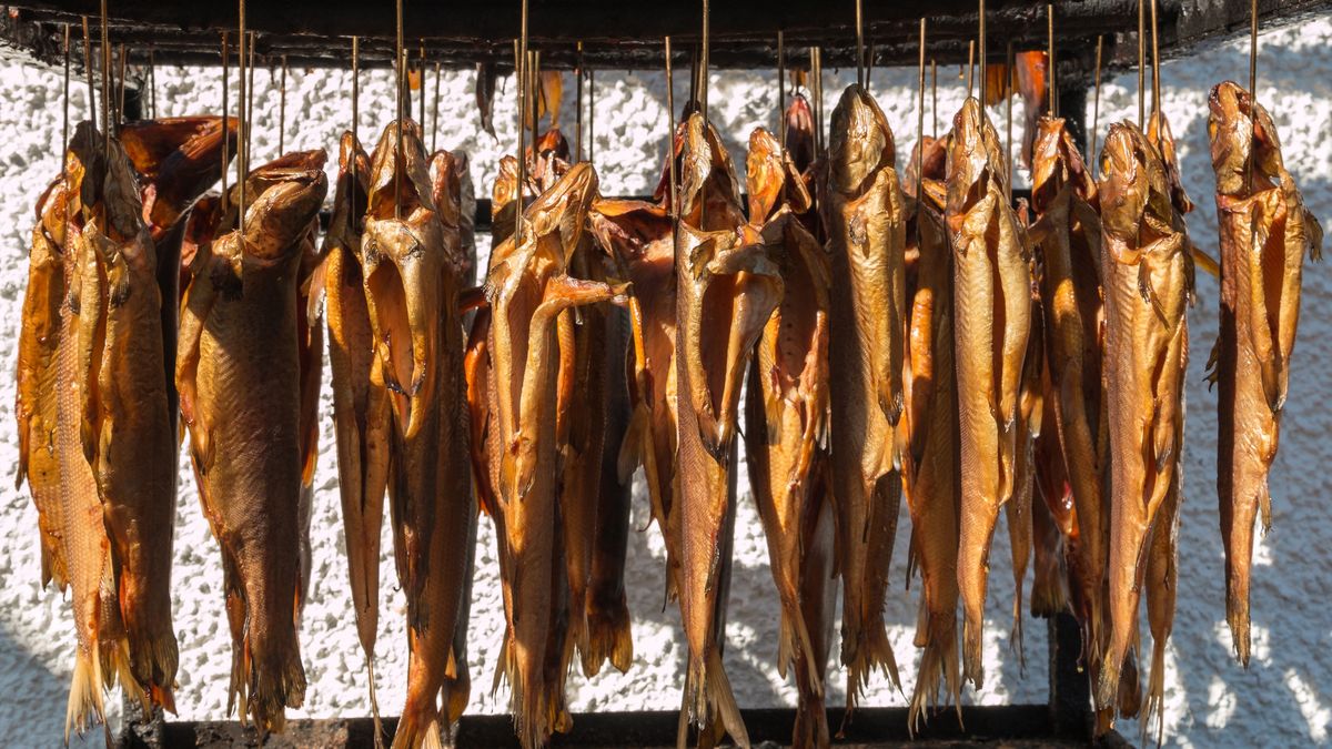 smoked trouts hanging on hooks in smokehousecloseup of smoked rainbow trout hanging on hooks in smokehousePatrikStedrakKipper, Seasoning, Meal, Gourmet, Fishing Hook, Curing, Hook, Trout, Smoked, Prepared Fish, Rainbow Trout, Hanging, Tasting, Refreshment, Preserved, Cultures, Close-up, Trout, Fish, Food, smokehouse, Smoked