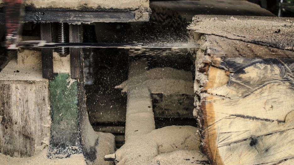 Międzygórze. Tragedia przy wycince drzew. Nie żyje 28-latek