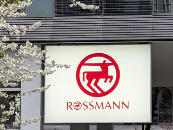 Rossmann kusi promocjami perfum. Calvin Klein Euphoria za 99 zł