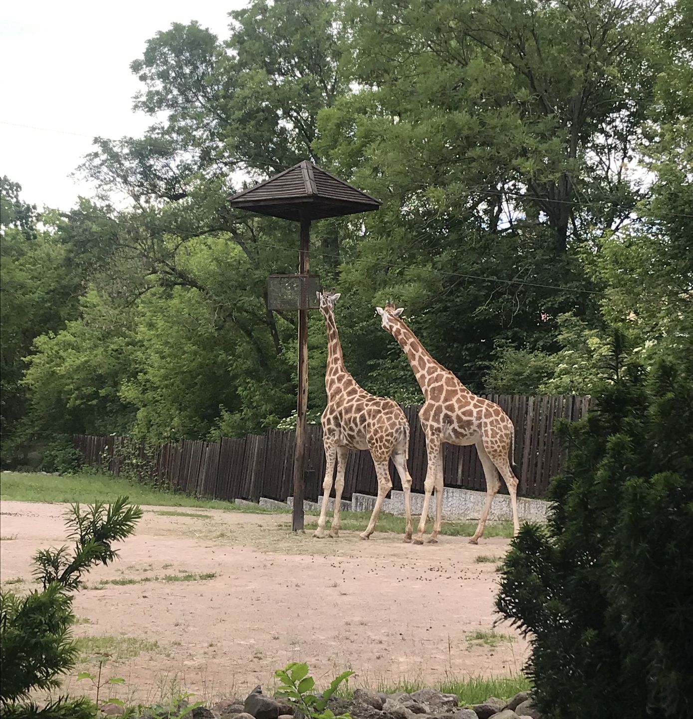 W płockim zoo znajduje się aż 580 gatunków zwierząt