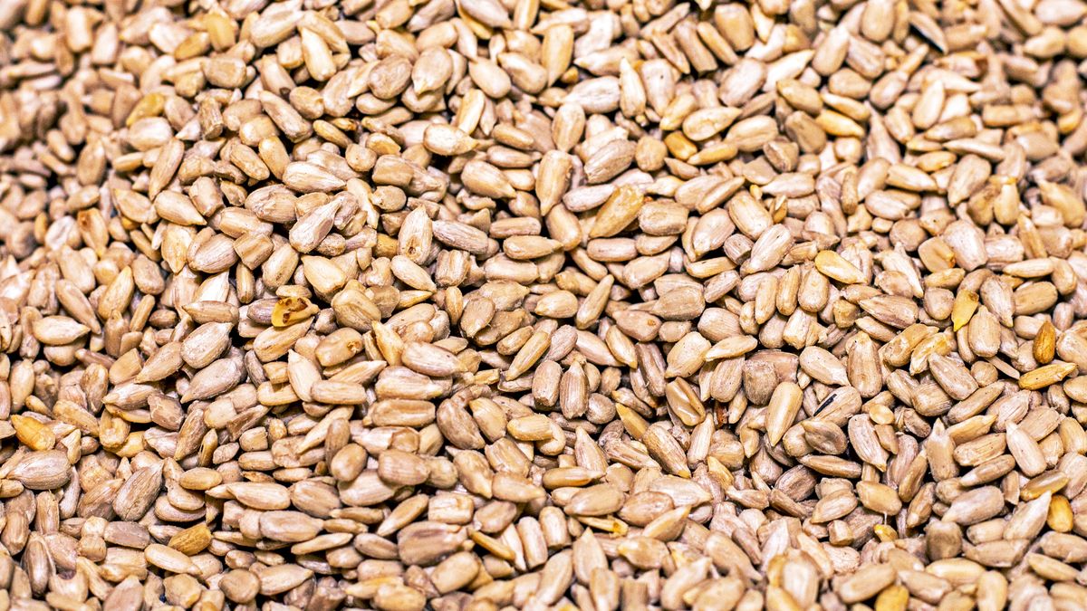 Te małe ziarenka mają wielką moc