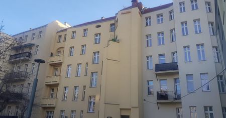 Wrocław. Domki dla jerzyków gotowe. Czekają na pierwszych lokatorów