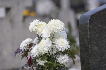 Dodaję do wazonu składnik z kuchni. Kwiaty na grobie są dłużej świeże