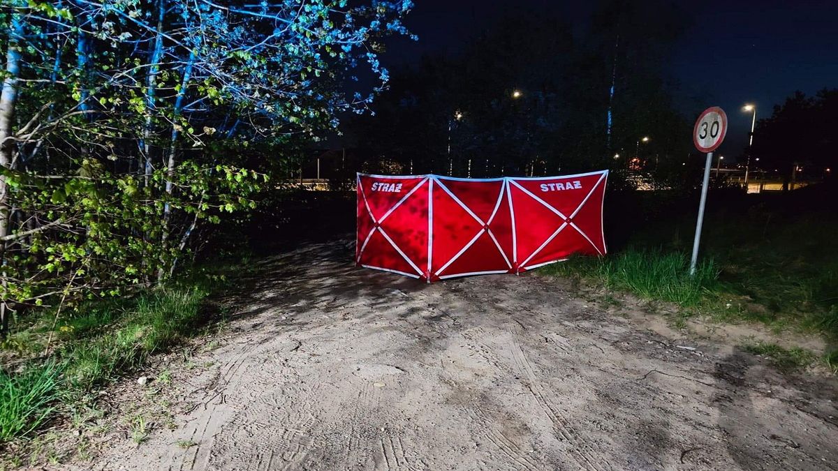 Uczył ją jeździć samochodem. Śmiertelnie go potrąciła