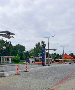 Warszawa. Nowe ładowarki dla elektrycznych autobusów. Zaczną działać we wrześniu