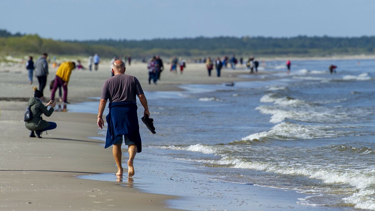 reporter_baza_2021-09
26.09.2021 Mierzeja Wislana - Jantar N/z plaza Fot. Stanislaw Bielski/REPORTER
Stanislaw Bielski/REPORTER
