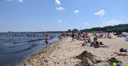 Śmierdzący problem na gdańskiej plaży. "Tworzą się hałdy sięgające do kolan"