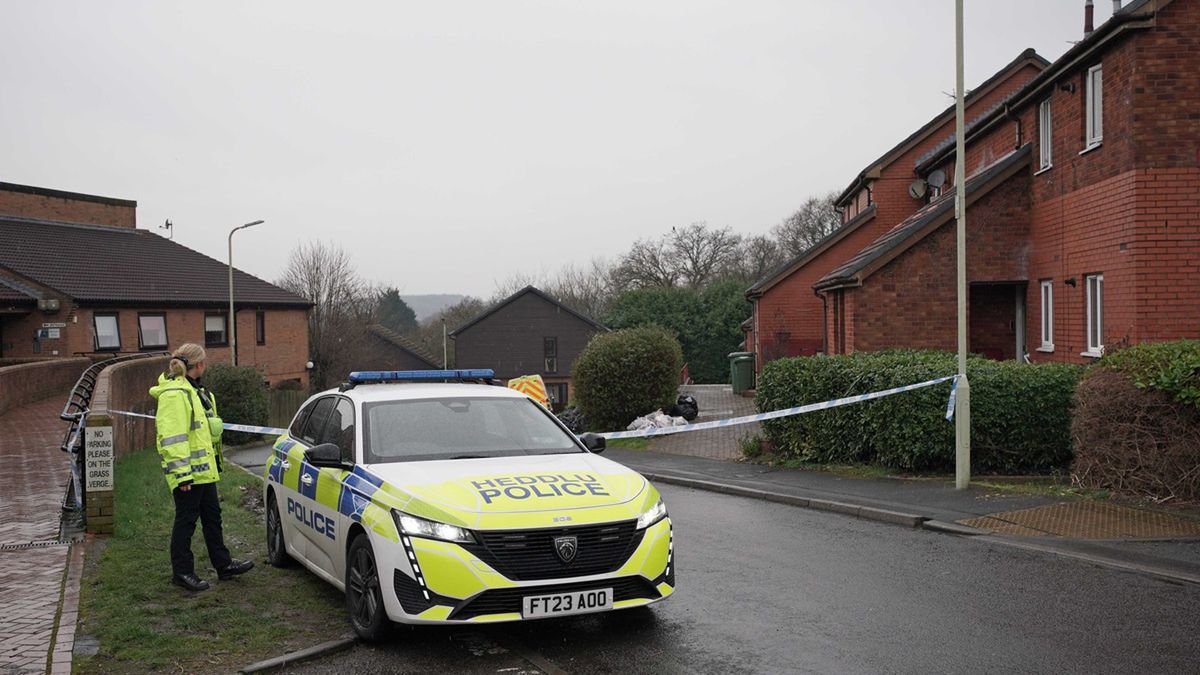 Kobieta wycięła 100-letnią lipę.