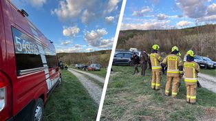 W lesie zaatakował ją niedźwiedź. Jest oficjalne potwierdzenie
