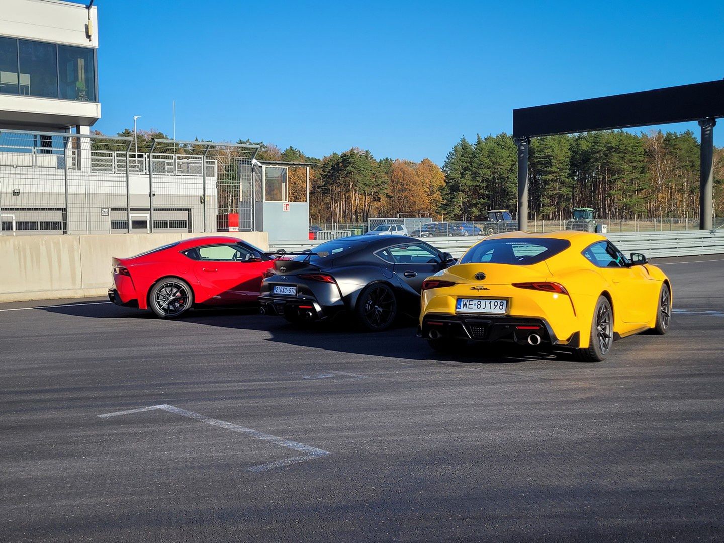 Trzy Supry w naturalnym środowisku