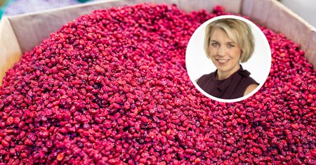 Nazywają go "polską cytryną". Może wspierać glukozę i cholesterol
