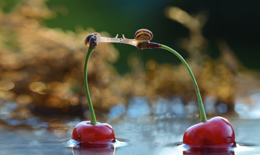 Nie przeszkodziło mu to w zdobyciu nagrody „Discovery of the Year" w prestiżowym konkursie „International Photography Wards 2014".