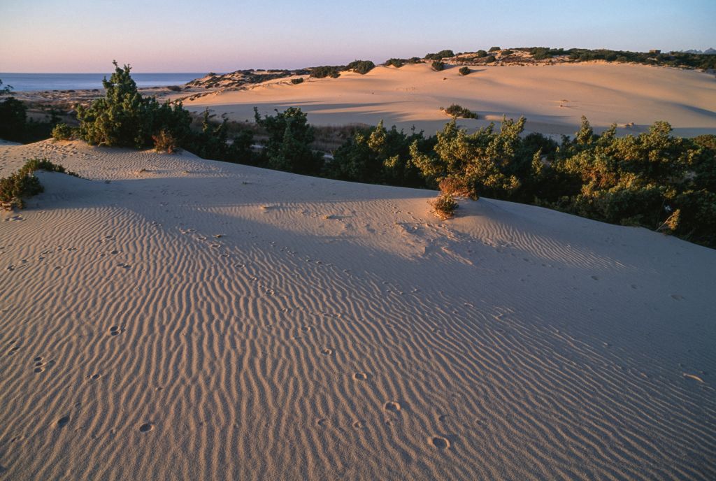 Wydmy w Maspalomas wracają do życia. W końcu nie ma turystów!