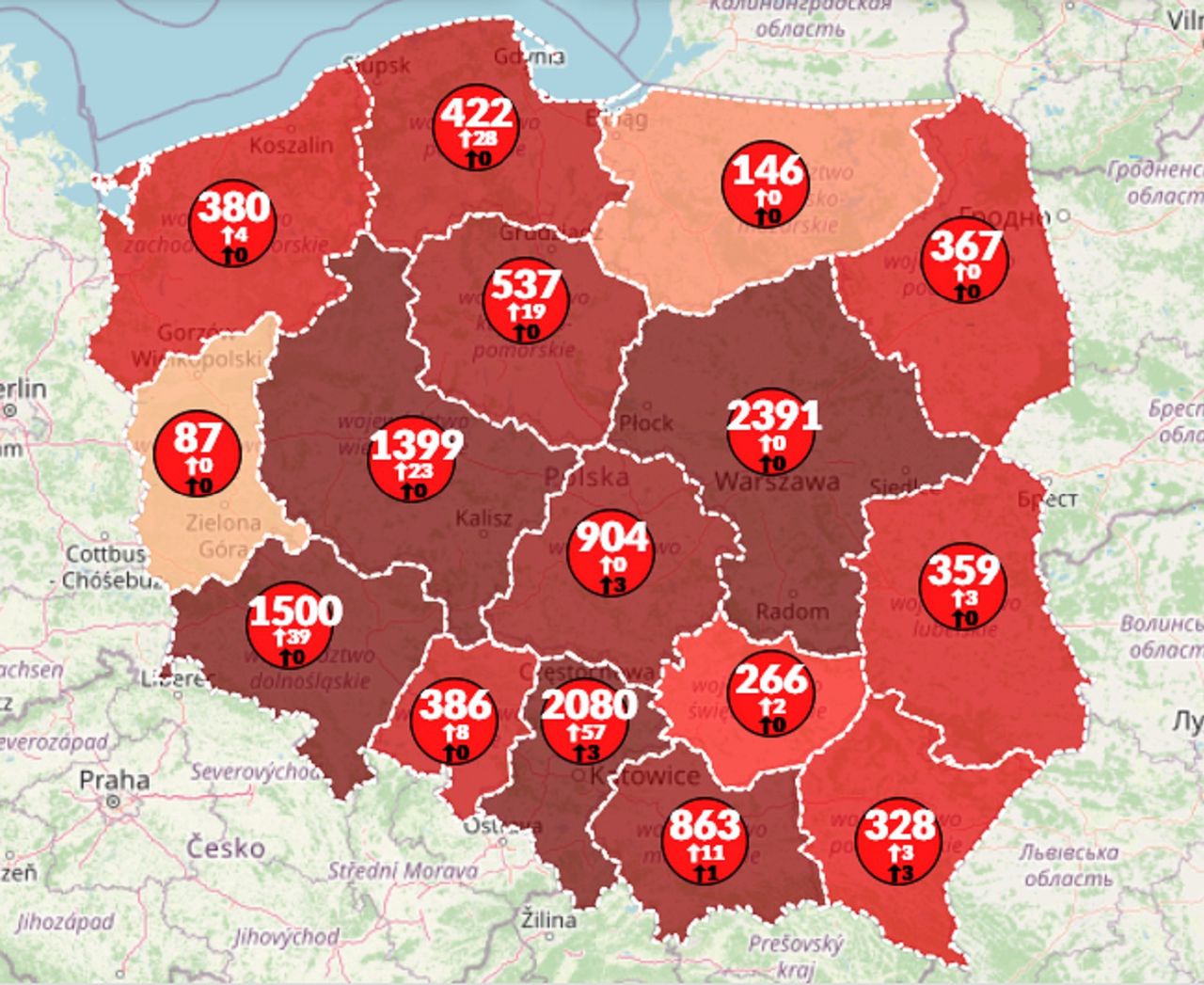 Koronawirus w Polsce. Ponad 600 ofiar śmiertelnych. Oto najnowsza mapa zakażeń