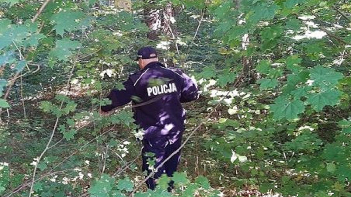 Poszedł do lasu na grzyby i nie wrócił 