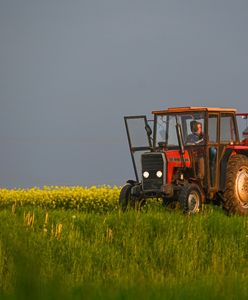 600 tys. rolników musi zbierać dokumenty. Bez tego stracą dopłaty