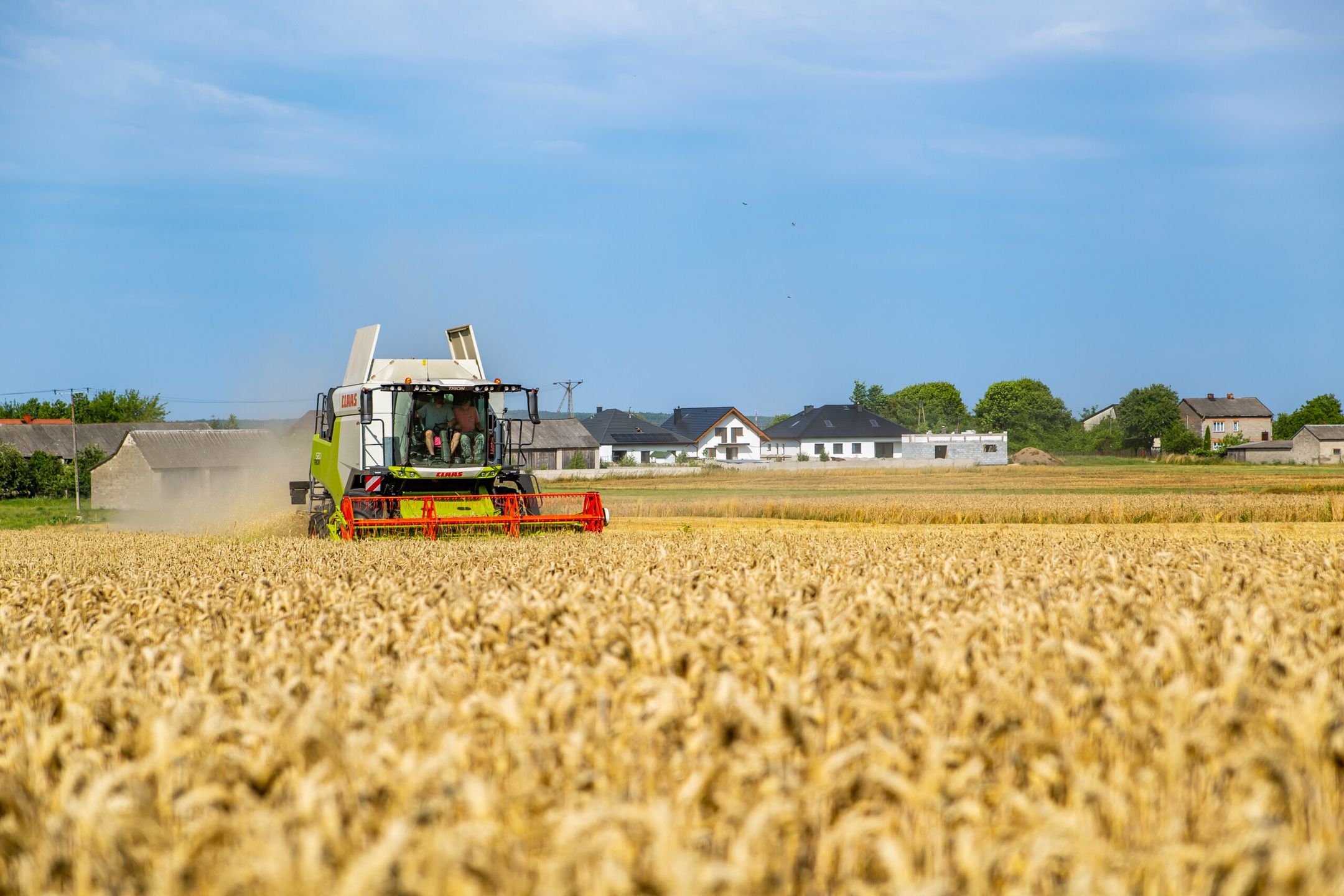 żniwa Claas / 2023