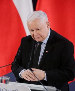 PiS żegna się z władzą. Mamy najnowszy sondaż