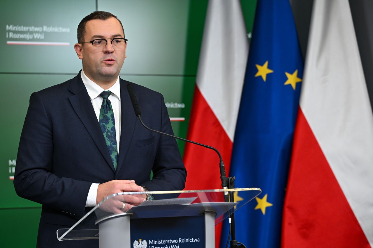 Embargo na ukraińskie zboże. Minister stawia sprawę jasno