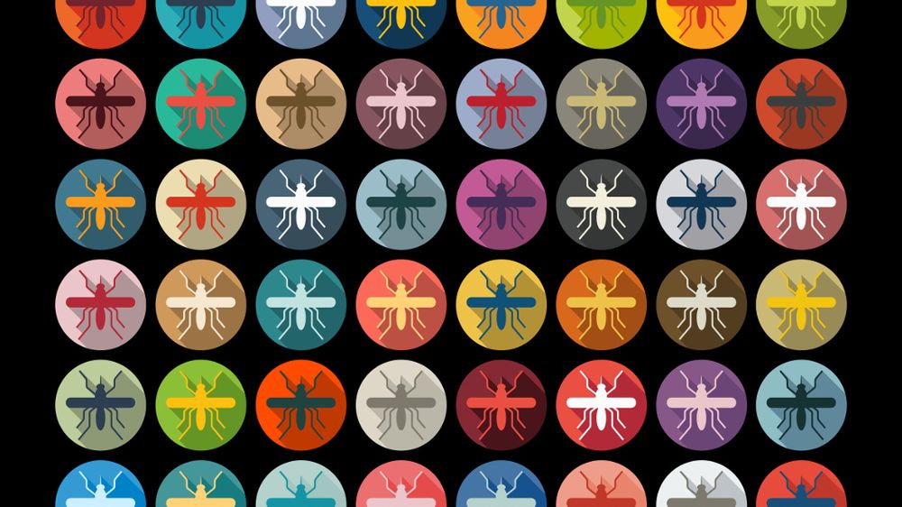 Komarzyca i inne naturalne sposoby na komary