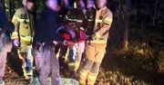 Otwock: Wyszedł na grzyby i zaginął. Policjanci szukali go całą noc