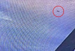 Rosyjska rakieta przeleciała "krytycznie nisko" nad elektrownią atomową