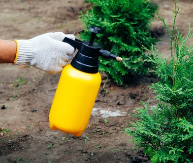 Zabójcze środki do zwalczania gryzoni zatruły dzieci. Apel resortu
