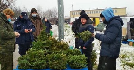 Świąteczne stroiki w zgodzie z przyrodą