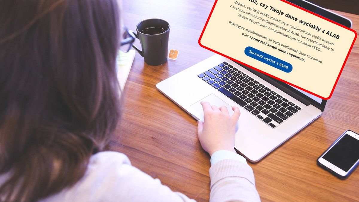Sprawdź, czy twoje dane wyciekły w ataku na ALAB