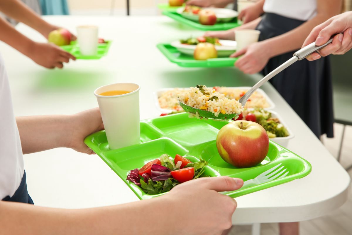 Zdrowe posiłki w przedszkolu - Pyszności