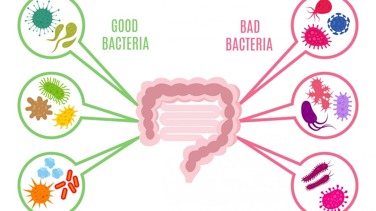 Mikrobiom pełni wiele ważnych funckji w organizmie, przede wszystkim dba o układ immunologiczny