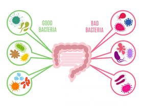 Mikrobiom - czym jest i jakie ma funkcje w organizmie