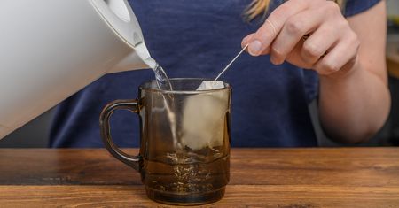 Cytryna w herbacie jest już niemodna. Teraz wrzuca się zupełnie inne dodatki
